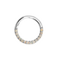 Cassiopeia Big White 10 mm